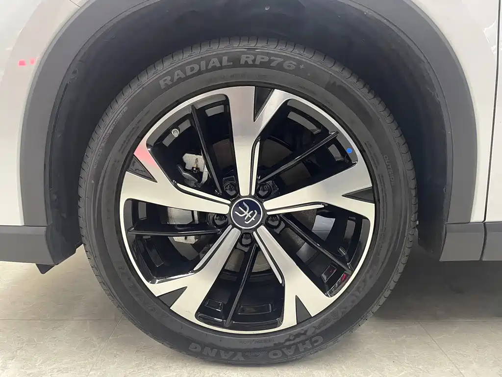 BYD Song Pro New Energy 2025 — фото 7