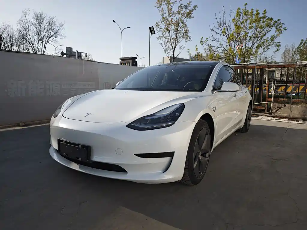 Tesla Model 3 2020 — фото 1