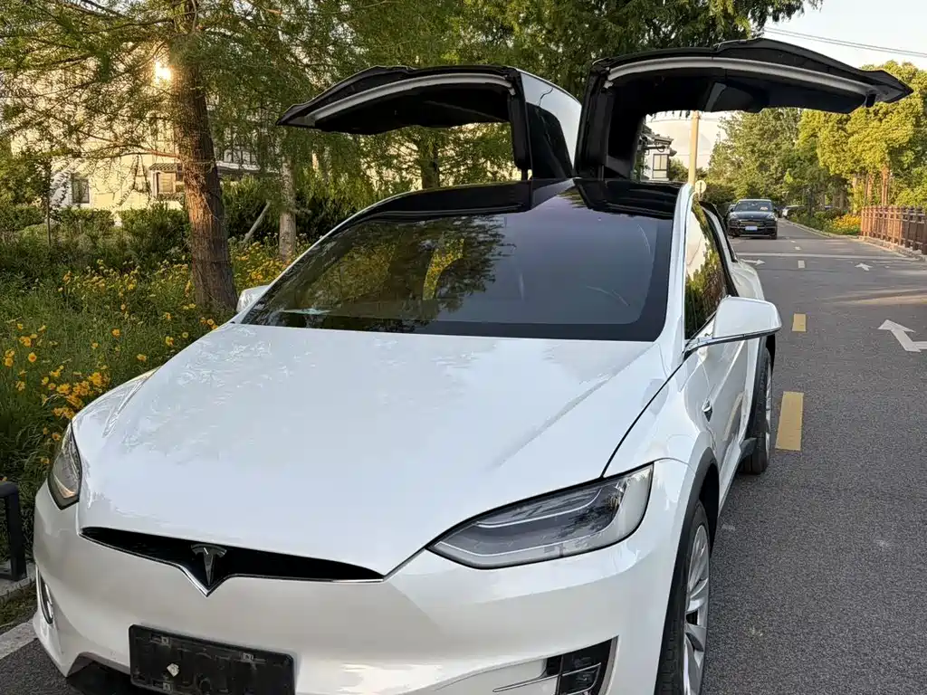 Tesla Model X 2020 — фото 1
