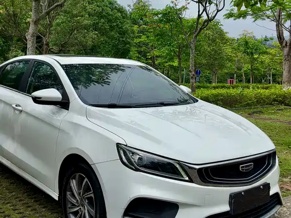 Geely Binrui 2019