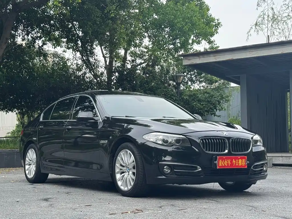 BMW 5 Series 2016 — фото 5