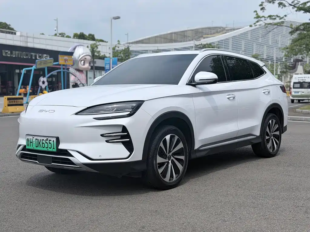 BYD Song PLUS New Energy 2024 — фото 1