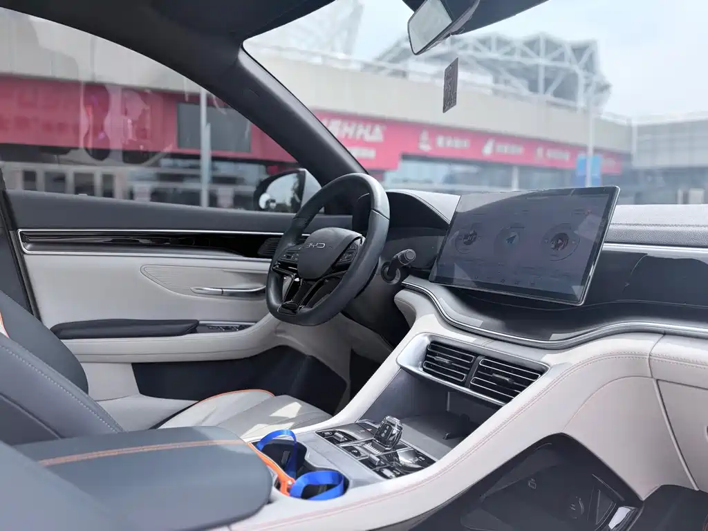 BYD Song PLUS New Energy 2024 — фото 13
