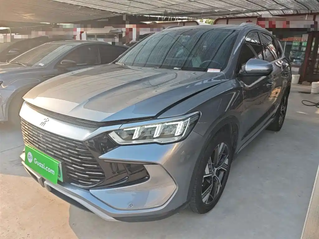 BYD Pro New Energy 2024 — фото 1