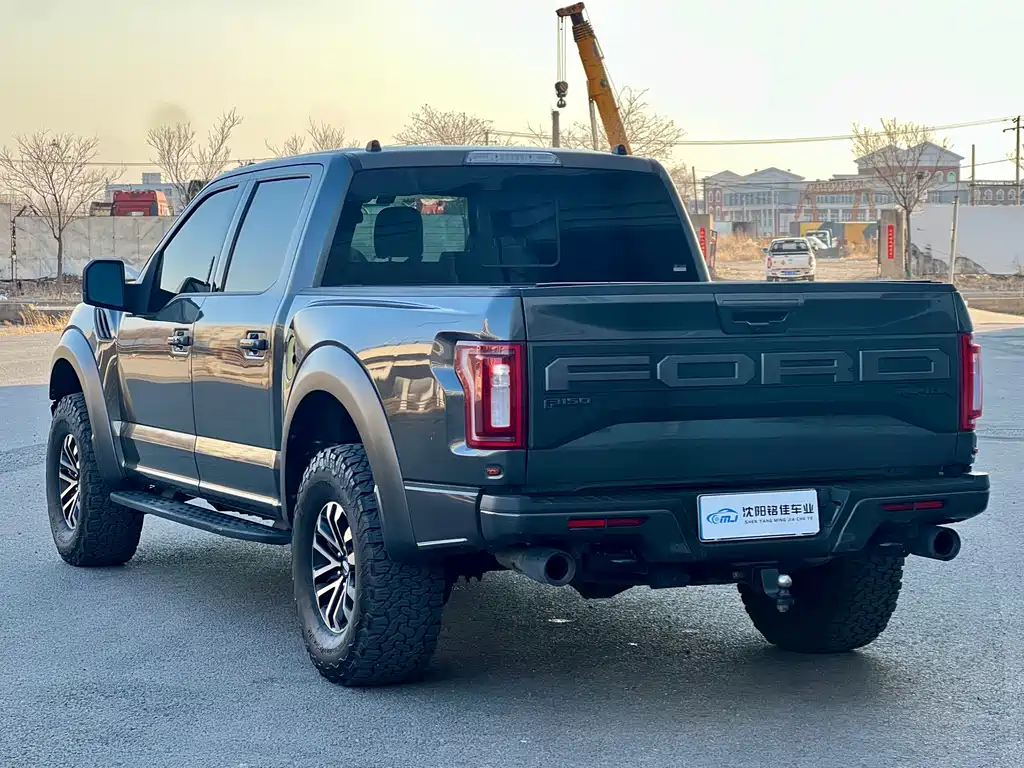 Ford F-150 Raptor 2019 — фото 12