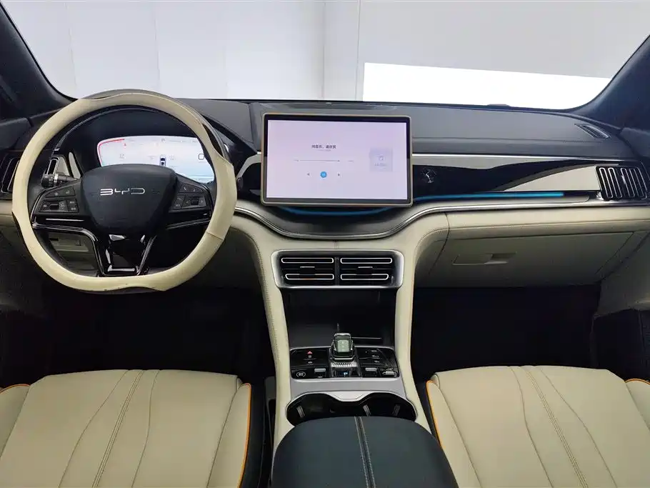 BYD PLUS New Energy 2024 — фото 12