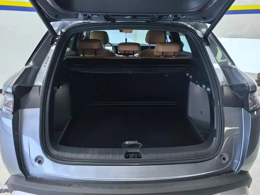 BYD L DM-i 2024 — фото 4