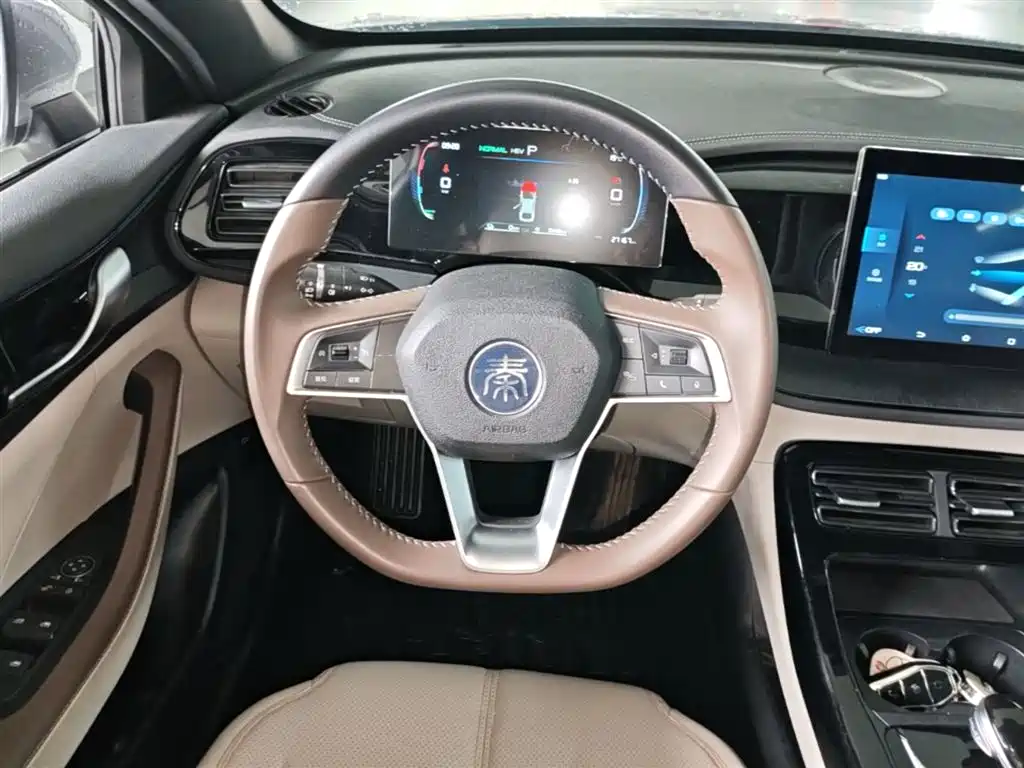BYD Qin PLUS 2024 — фото 17