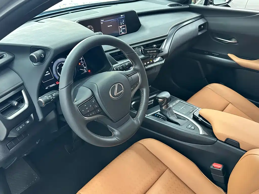 Lexus UX 2020 — фото 10