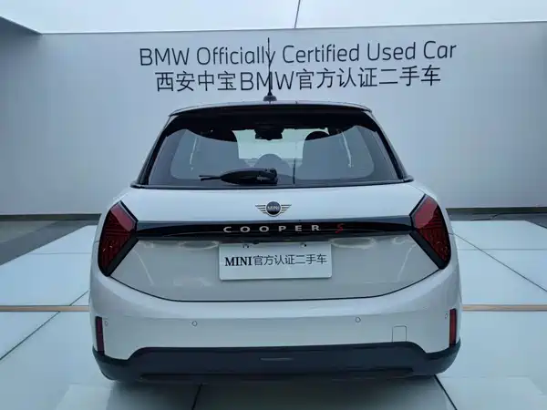 MINI MINI 2025