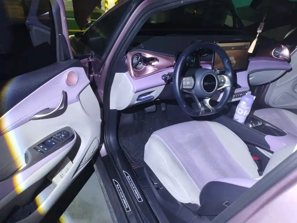 BYD Dolphin 2023 — фото 14