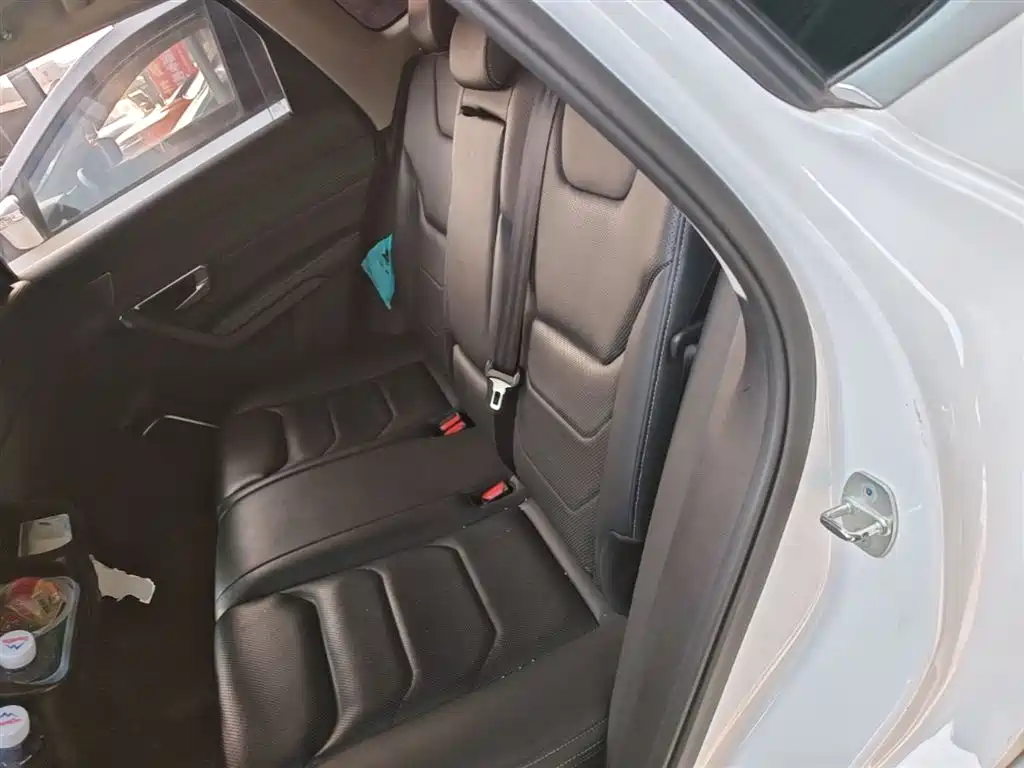 BYD Pro New Energy 2020 — фото 17