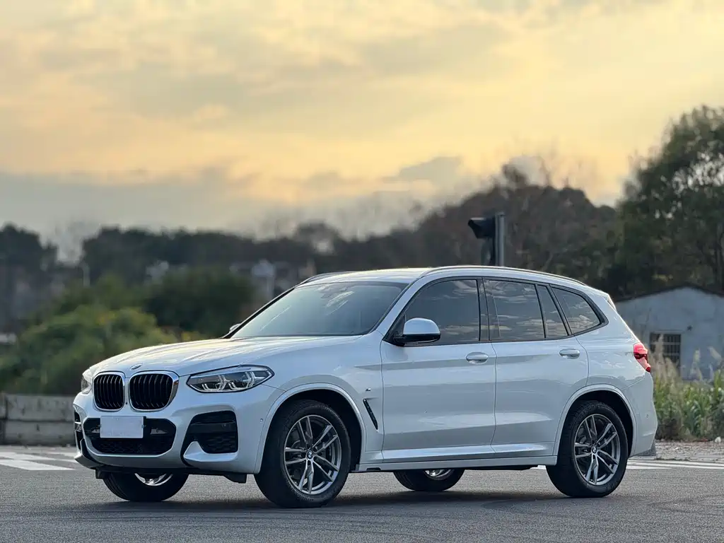 BMW X3 2019 — фото 1