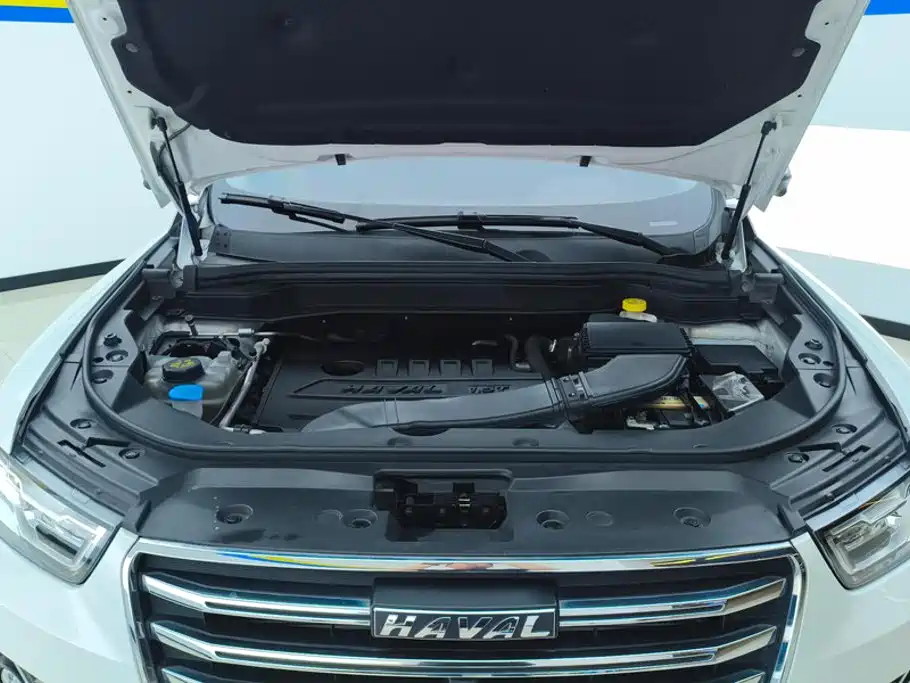 Haval H6 2021 — фото 10