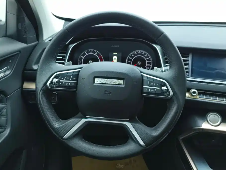Haval H6 2021 — фото 15