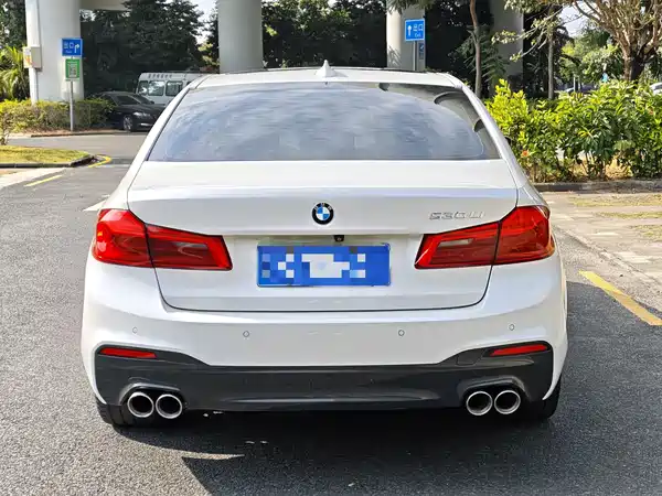 BMW 5 Series 2019