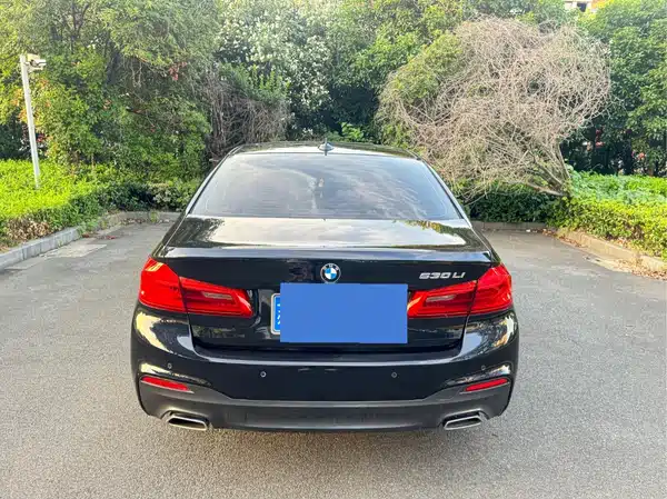 BMW 5 Series 2019