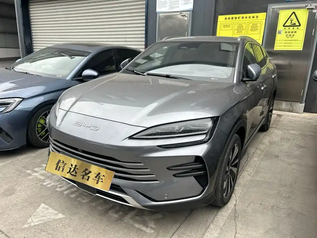 BYD PLUS New Energy 2024 — фото 1