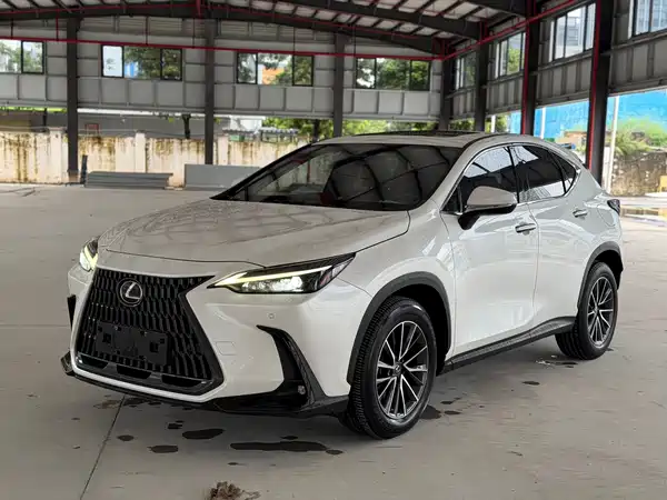 Lexus NX New Energy 2021