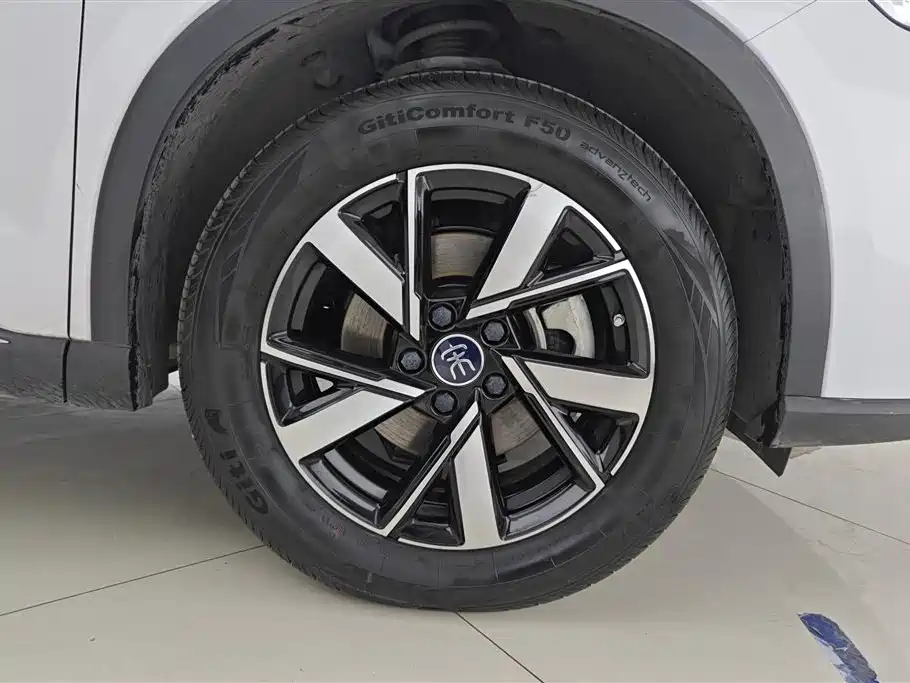 BYD Pro New Energy 2025 — фото 6