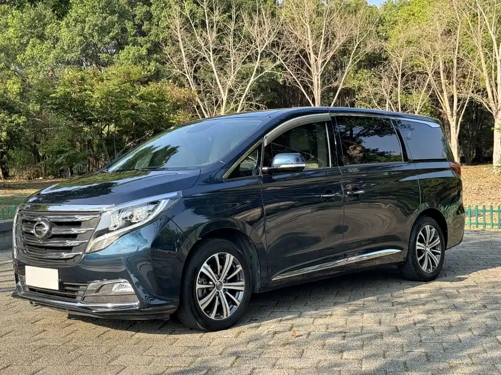 GAC Trumpchi M8 2018 — фото 1
