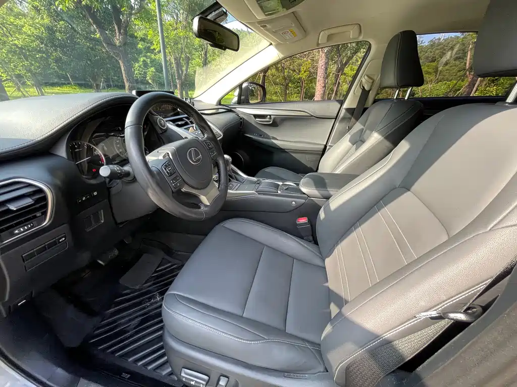 Lexus NX 2020