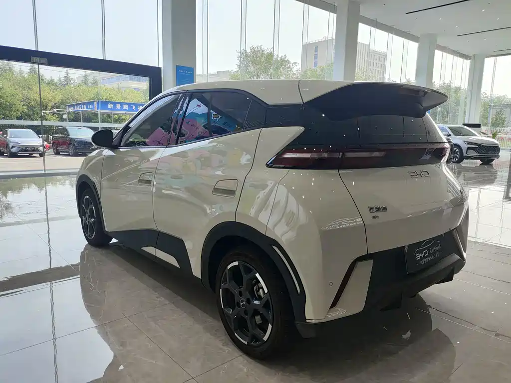 BYD Seagull 2024