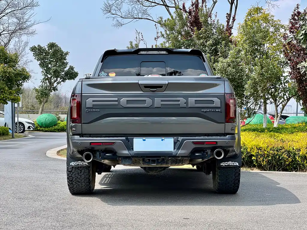 Ford F-150 Raptor 2020 — фото 20