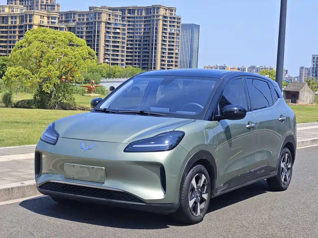 Wuling Bingo PLUS 2024