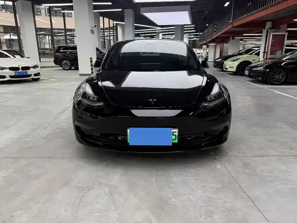 Tesla Model 3 2020