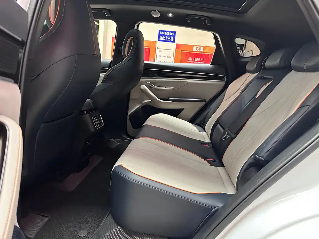 BYD Song PLUS New Energy 2022 — фото 15