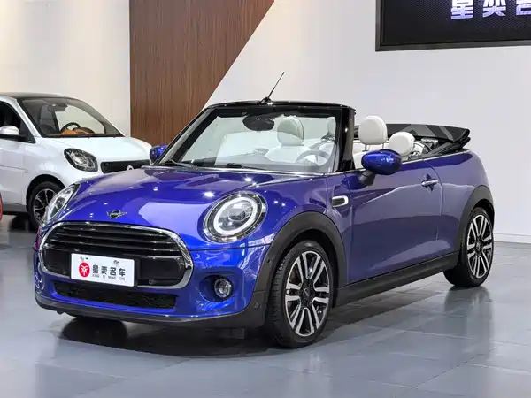 MINI MINI 2019