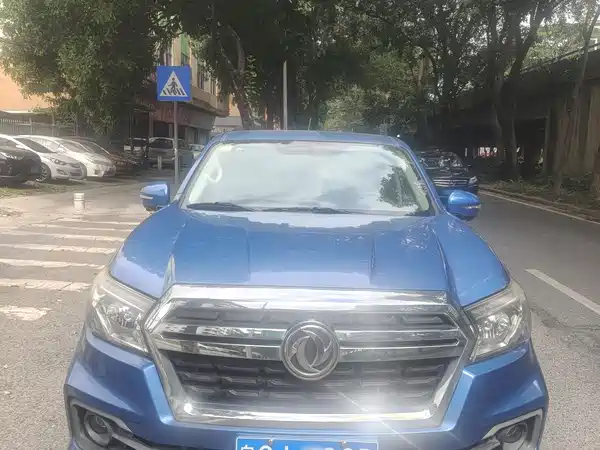 Dongfeng Ruiqi 2019