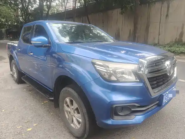 Dongfeng Ruiqi 2019