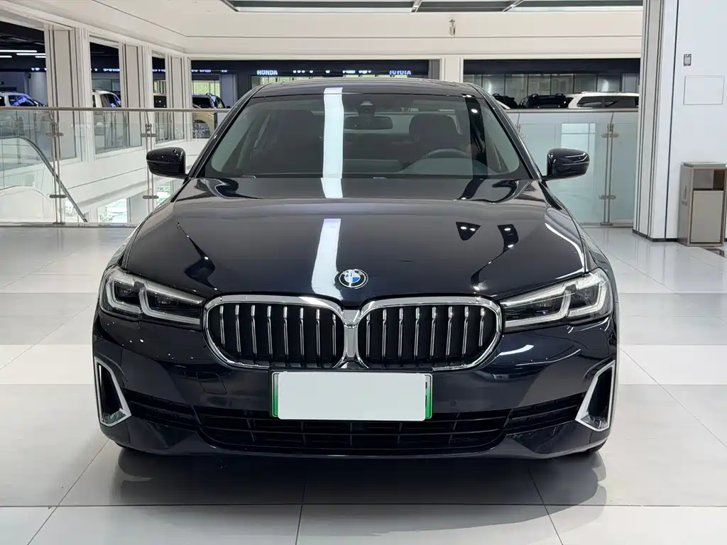 BMW 5 Series New Energy 2021