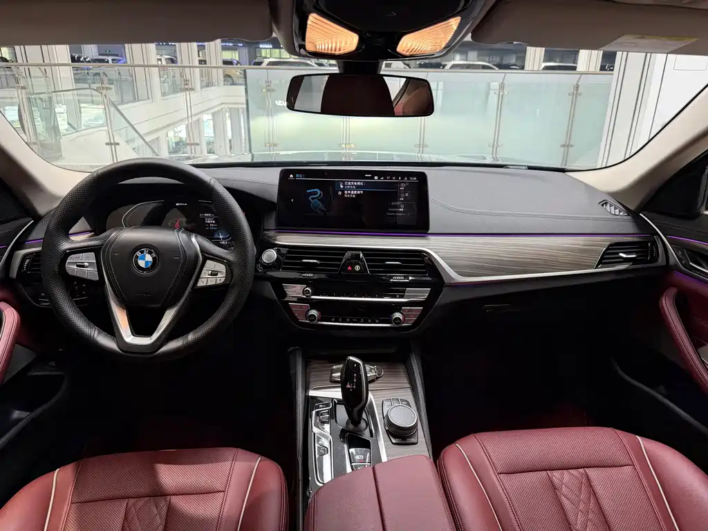 BMW 5 Series New Energy 2021