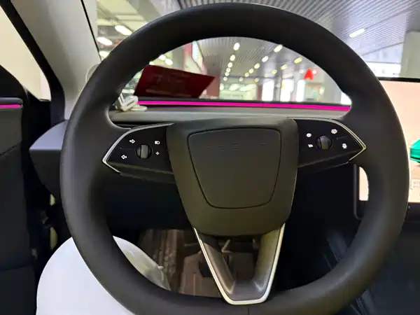 Tesla Model 3 2025