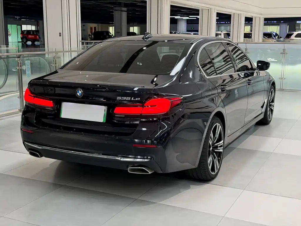 BMW 5 Series New Energy 2021