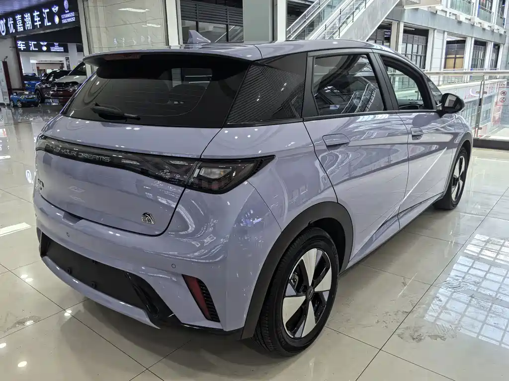 BYD Dolphin 2023 — фото 14