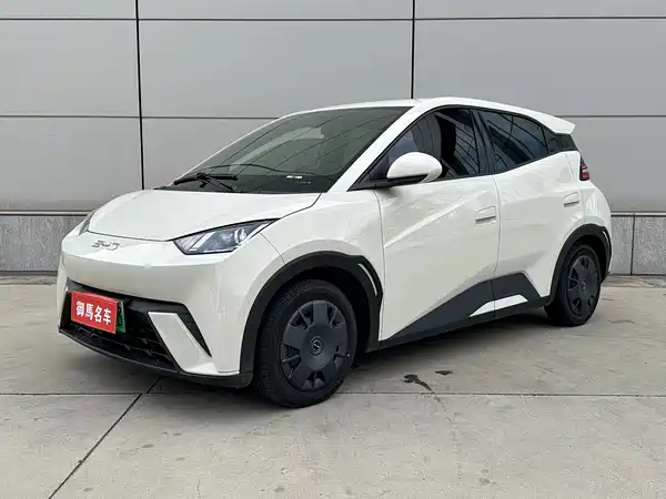 BYD Seagull 2024