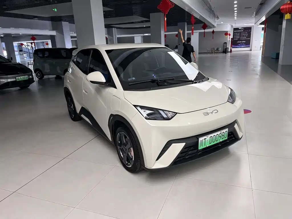 BYD Seagull 2024