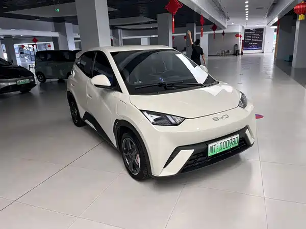 BYD Seagull 2024