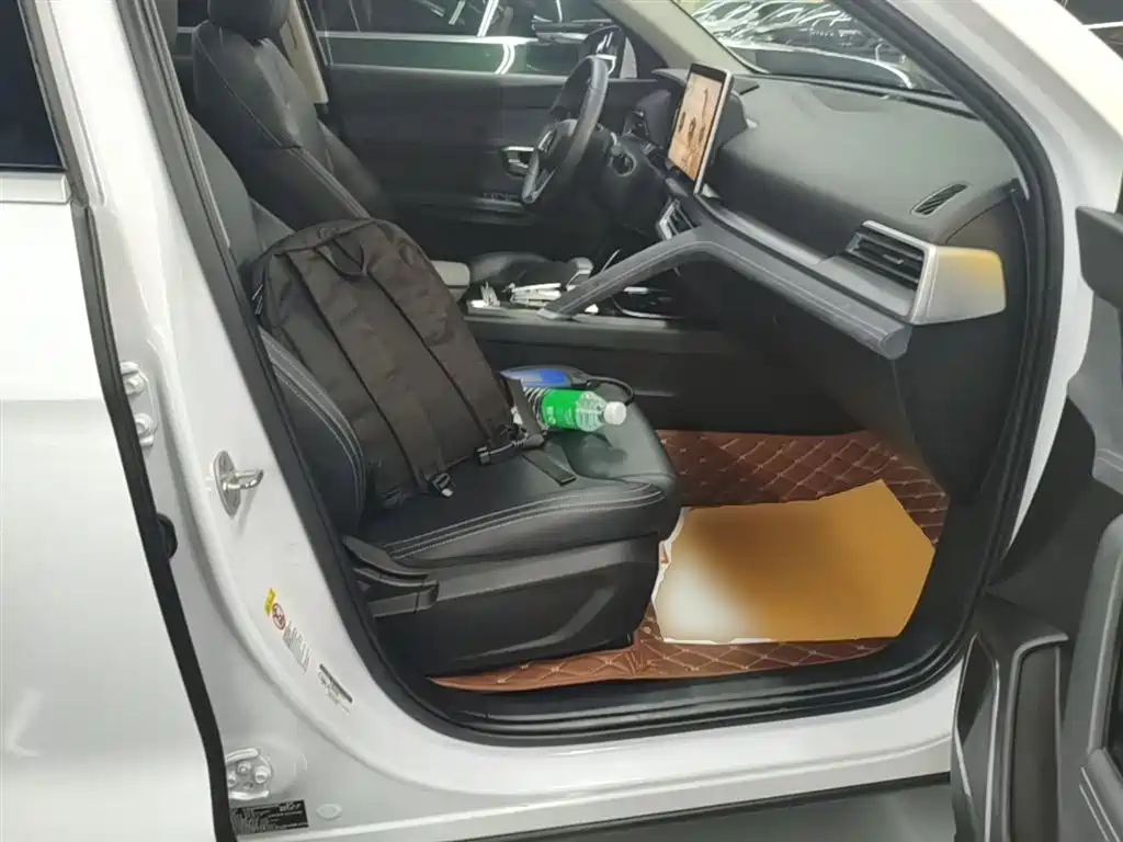 BYD Pro New Energy 2020 — фото 25