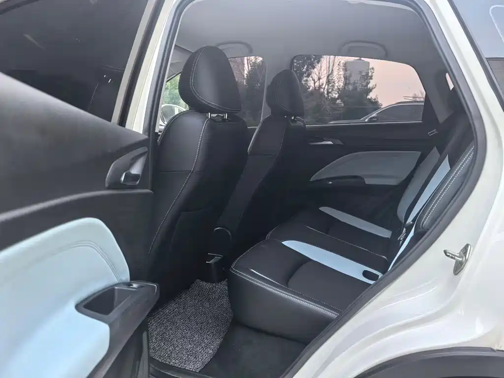 Neta V 2020