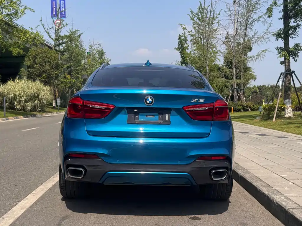 BMW X6 2019 — фото 5