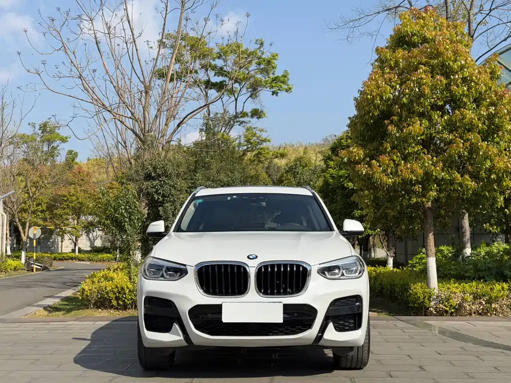 BMW X3 2020 — фото 2