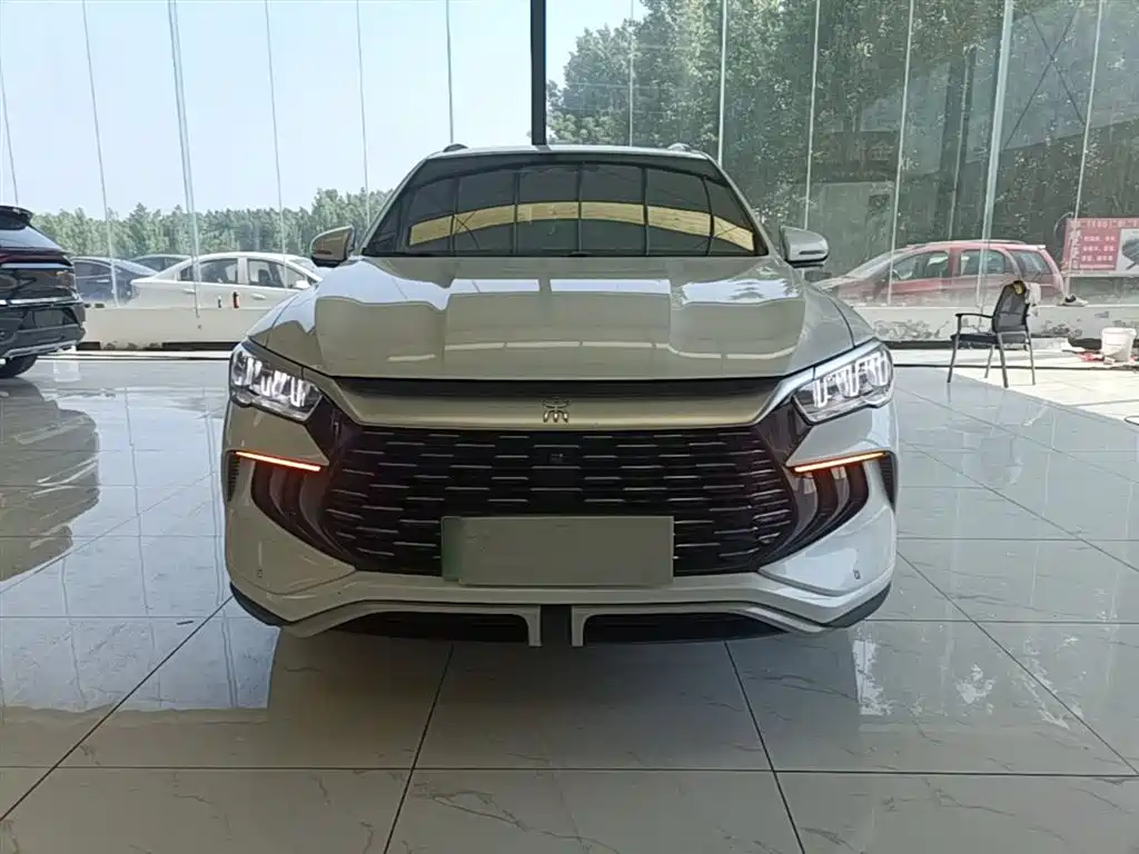 BYD Pro New Energy 2024 — фото 3