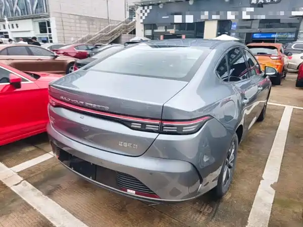 BYD Destroyer 05 2024