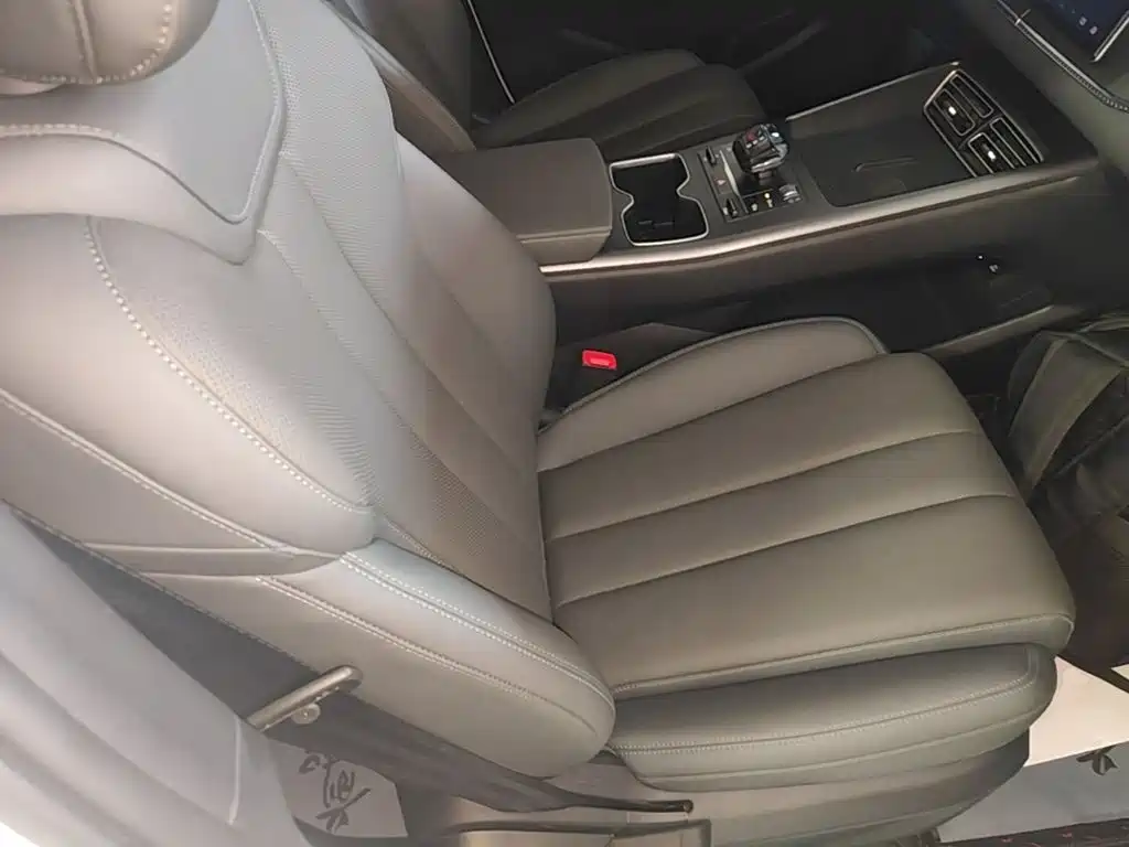 BYD Song Pro New Energy 2025 — фото 25