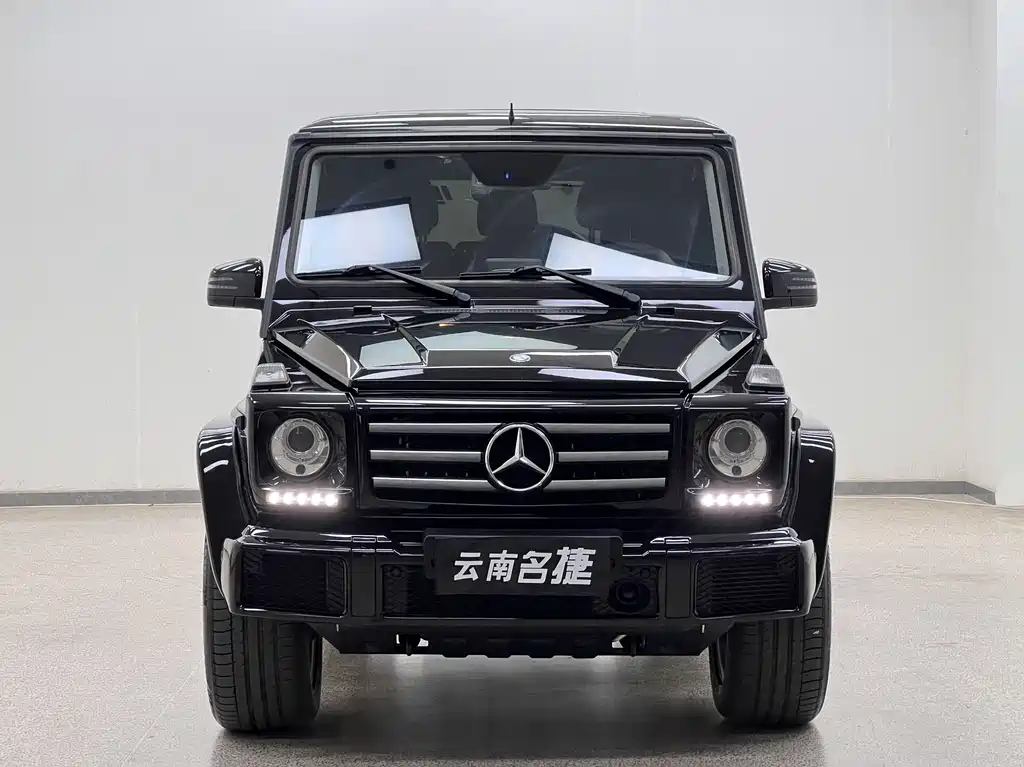 Mercedes-Benz G-Class 2016 — фото 2